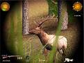 Download 'Hunting Unlimited (240x320)' to your phone